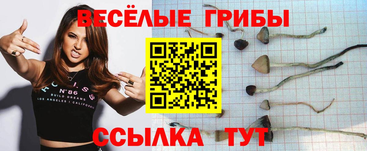 Галлюциногенные грибы Cubensis  Вход с VPN  Ульяновск  Галлюциногенные грибы Cubensis 