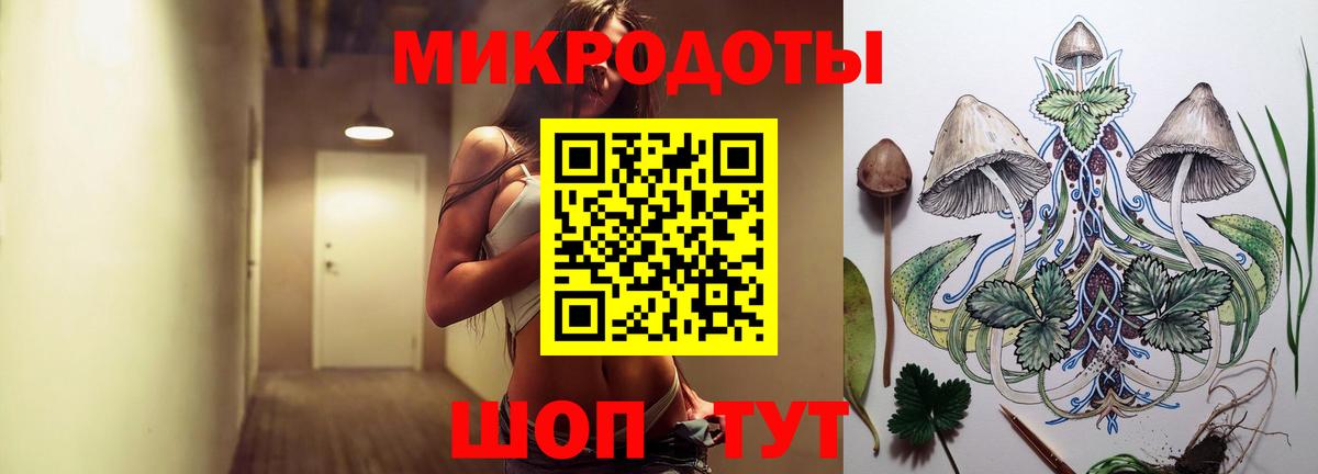 Псилоцибиновые грибы Psilocybine cubensis Ульяновск